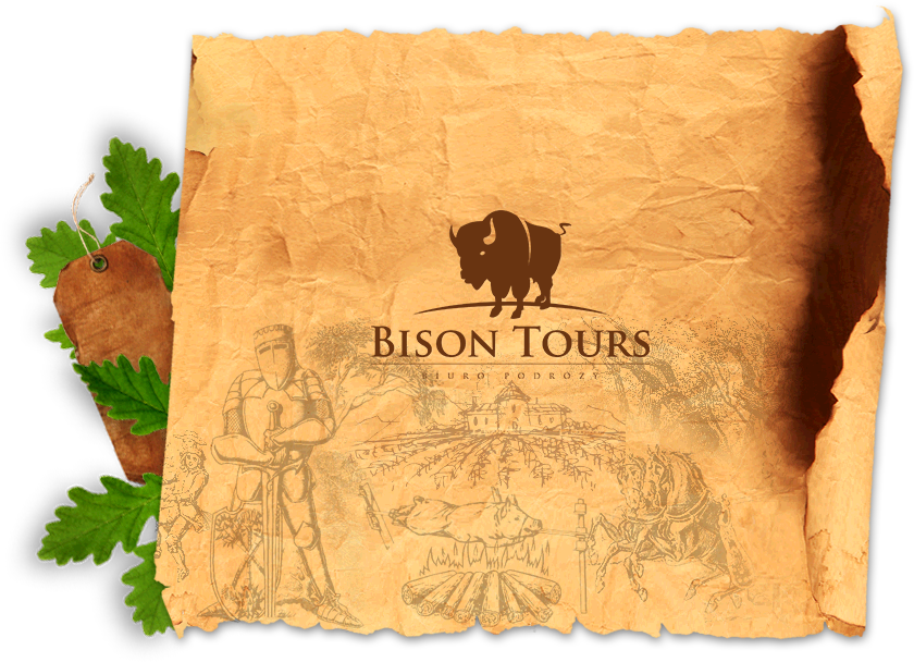 Bison Tours